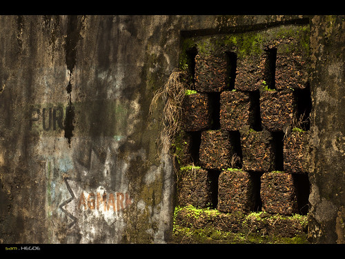 old moss paint stones decay goa