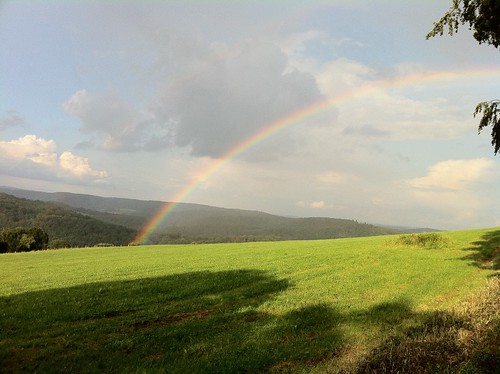 rainbow regenbogen westerwald