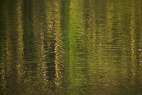 trees reflection river inn fluss bäume spiegelung wasserburg reflektion streifen robbbilder