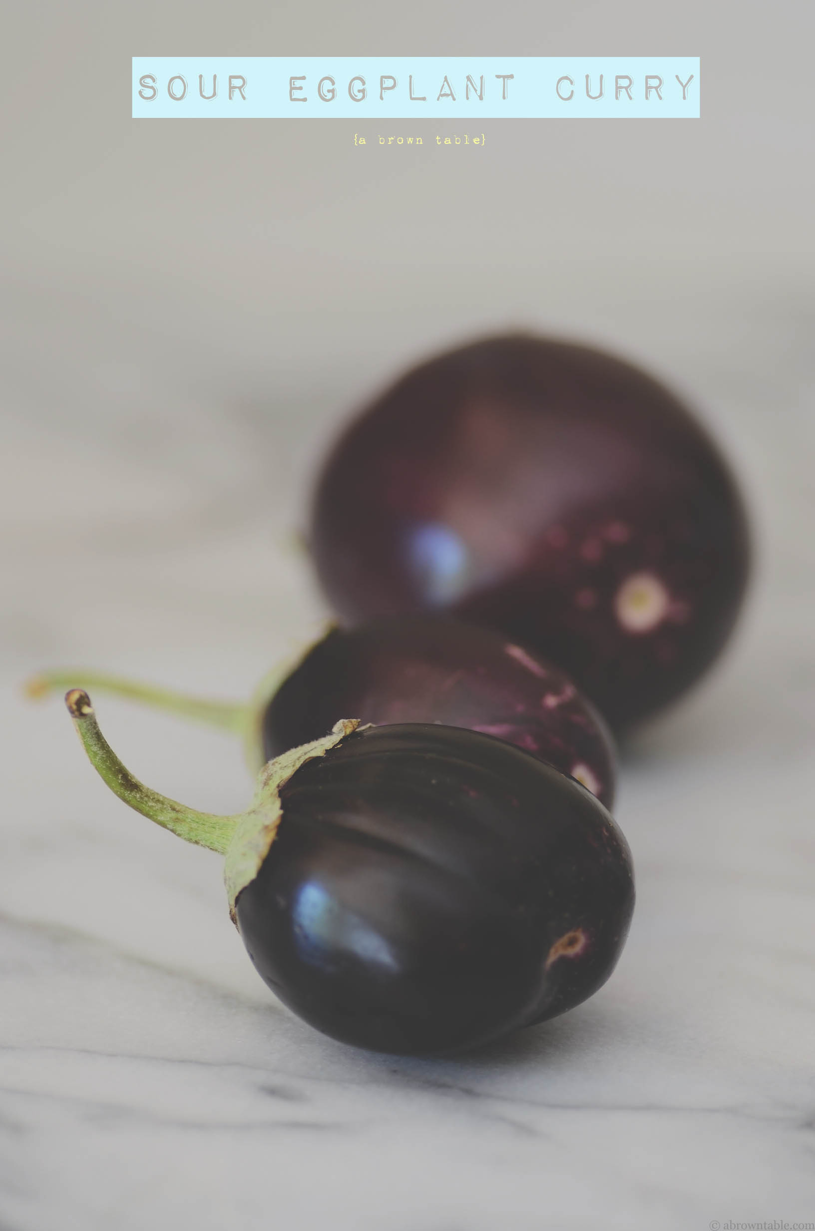 baby eggplants