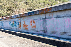 Knapsack Bridge - graffiti menace