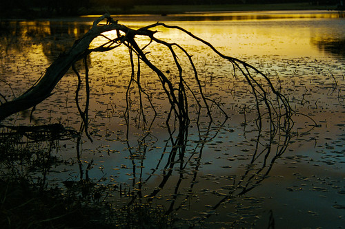 morning reflection film nature sunrise river landscape colorful pentax dramatic australia nsw