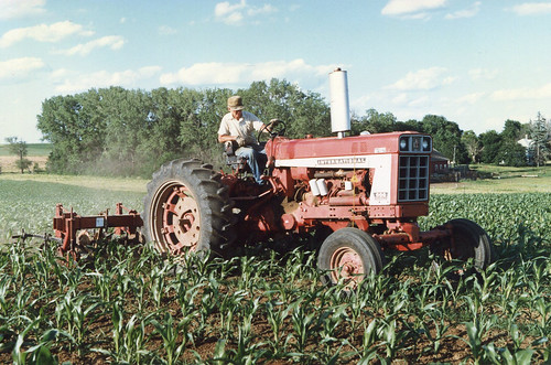 tractor corn 666 international cultivating
