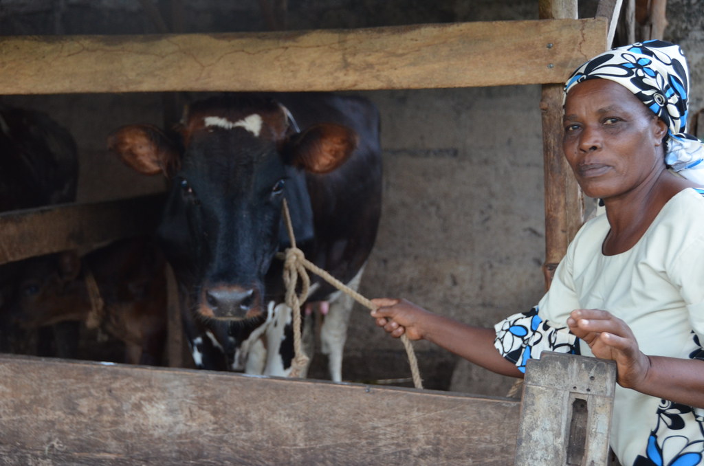 Faustina Akyoo, dairy farmer in Tanga, Tanzania.