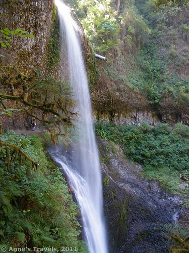 North Falls in Silver Falls State Park, Oregon