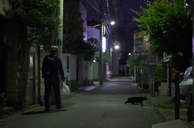 東京路地裏散歩 谷中のネコ 2014年5月10日