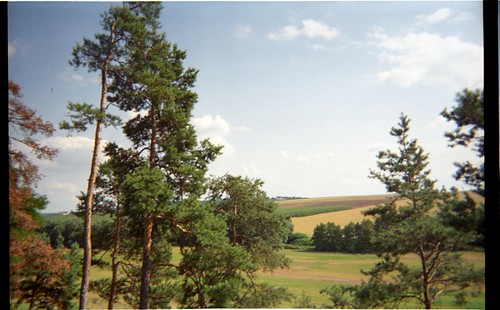 trees film nature 35mm landscape europe village czech country fields
