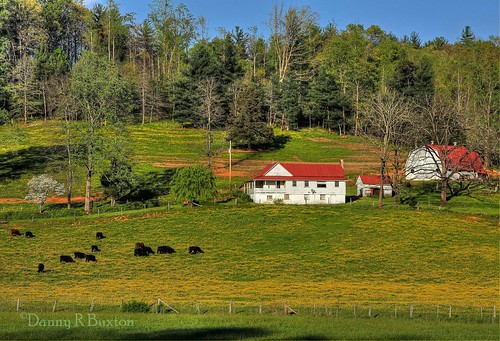 usa canon easter landscape nc afternoon mark farm pasture week 5d wildflowers burke ii” 2012 mountains” project” county” “canon “north carolina” creek” “irish “52 blinkagain “burke 24mm105mm”