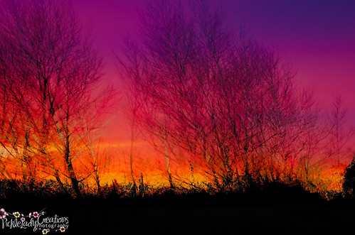 november trees sunset landscape twilight nikon maine scenic vivid augusta d90 18105mm