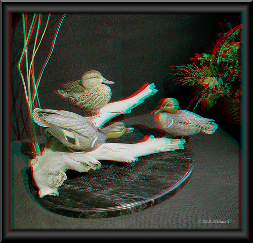 sculpture detail bird art nature beautiful duck stereoscopic 3d md gallery brian fineart maryland anaglyph carving indoors stereo wallace inside mallard chacha expensive depth easton skill decoy stereoscopy stereographic ewf artpiece brianwallace stereoimage eastonwaterfowlfestival stereopicture waterforwl
