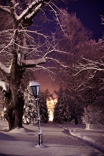 longexposure winter snow cold tree lamp night finland dark lights helsinki fuji outdoor path lamppost m42 lightpost fujinon herttoniemi herttoniemenranta fujinon50mmf14 ebcfujinon