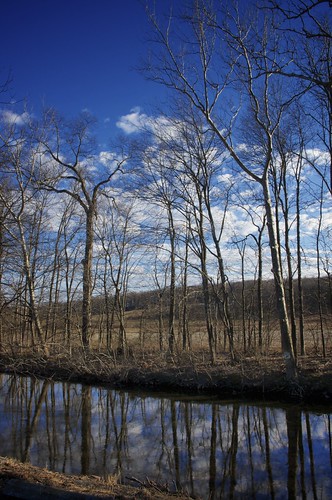 trees sky creek landscape