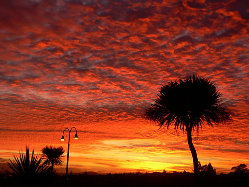 newzealand sky clouds sunrise auckland northisland waitakere massey panasoniclumixdmcfz5 sandyaustin