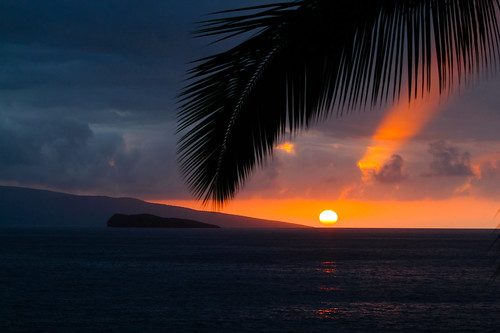 light sunset sea usa backlight island hawaii maui palm beam palmtree romantic sunbeam