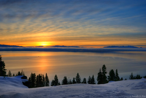 california morning trees sun lake snow reflection water sunrise dawn tahoe laketahoe rockyridge nikond3000