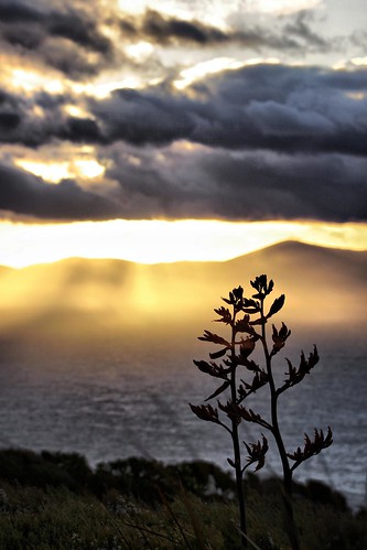 sunset newzealand images nz southland bluff