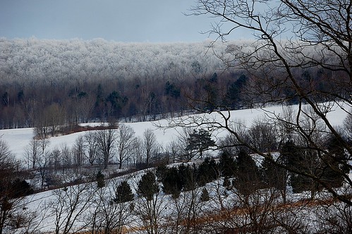 trees snow rural december upstatenewyork newyorkstate hilltop elkcreek rurallandscape schenevus otsegocounty edbrodzinsky