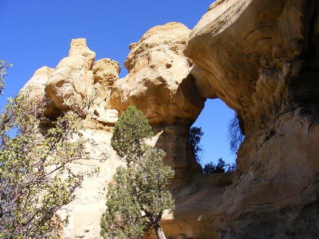 New Mexico Natural Arch NM-183