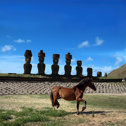 travel horse history nature landscape freedom nikon moai tati mistery rapanui anakena ahunaunau touraroundtheworld annatatti mygearandmepremium mygearandmebronze mygearandmesilver mygearandmegold mygearandmeplatinum mygearandmediamond