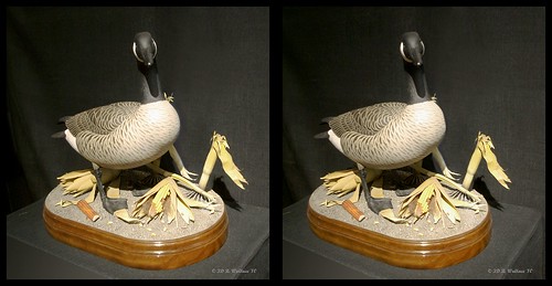 sculpture detail bird art nature stereoscopic stereogram 3d crosseye md gallery brian fine maryland carving goose indoors stereo wallace inside stereopair waterfowl sidebyside depth easton stereoscopy stereographic ewf freeview brianwallace xview stereoimage xeye stereopicture crosssview