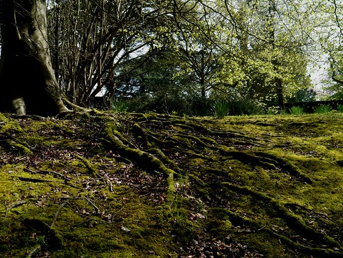 statue garden oxfordshire blenheimpalace formalgarden waterterrace