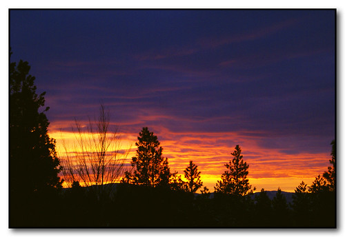 trees winter colors clouds sunrise washington spokane silhouettes solstice