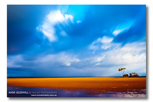 ocean longexposure sun storm tree water clouds print photography sand dusk australia mangrove qld queensland cokin nd400 december2010 kanegledhill 30december2010