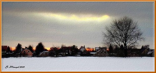 schnee winter sunset snow tree sonnenuntergang baum settlement siedlung jan11 menstef68