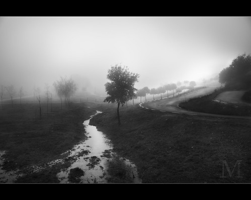tree rio fog river puente arbol shadows cáceres sombras niebla orensbruli estebanmartinena