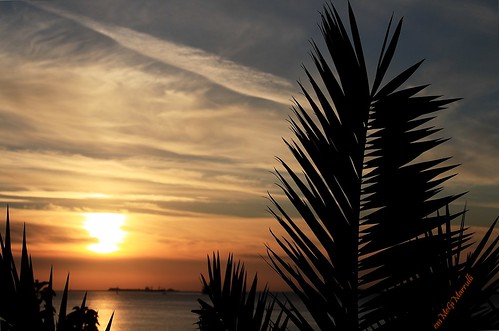sunset italia tramonto nuvole mare blu cielo sole lungomare palme landescape arancio puglia monti isola taranto pianta golfoditaranto marionio paesaggimarini imieiluoghi
