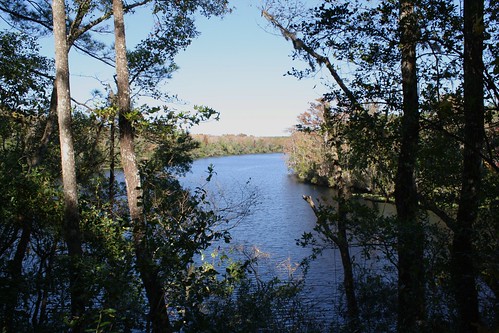 black water st creek river florida hiking district trail management middleburg johns ravines