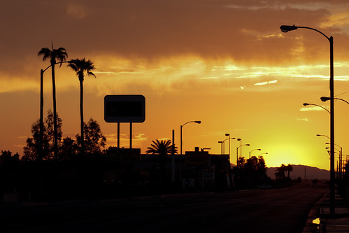 california ca travel trees sunset usa holiday america roadtrip palm blyth