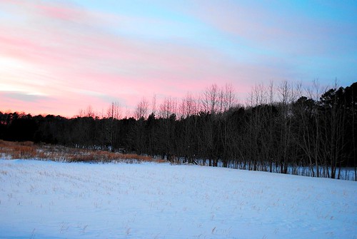 pink blue trees sunset cold field evening dusk skysnowsnowstormcloudsdelawaresussexcountyde