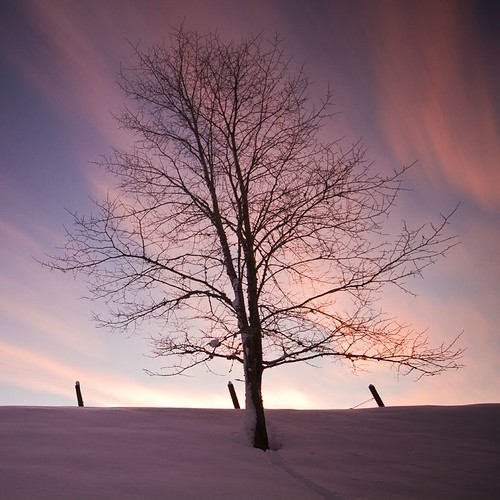 longexposure winter snow tree sunrise dawn sweden sverige östergötland sigma1020mmf456exdchsm canoneos7d hovetorp