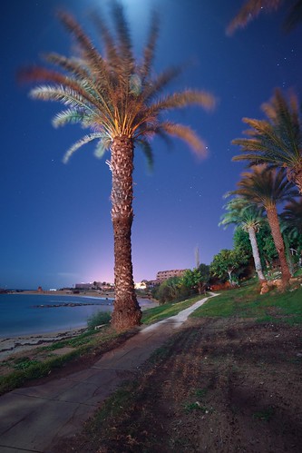 longexposure sea sky tree beach water night stars outdoor path cyprus palm samyang pernera samyang14mmf28