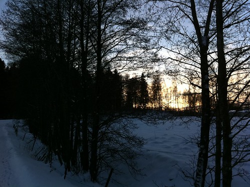 winter sunset snow nature forest sweden småland jönköping ljungarum