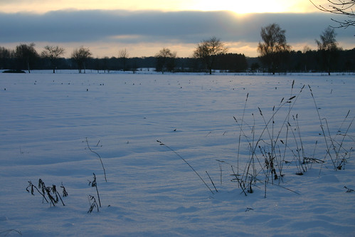 schnee sunset sun snow tree field canon december 300d end digitalrebel bäume 2010 klauspeter scheesel