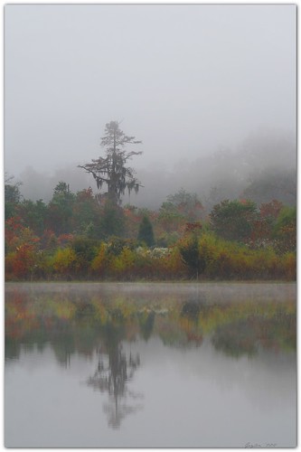 autumn reflection fall nature water fog landscape pond louisiana brush cypresstree foggymorning mrgreenjeans gaylon canonef28135mmf3556isusm blackwaterconservationarea 109mm gaylonkeeling