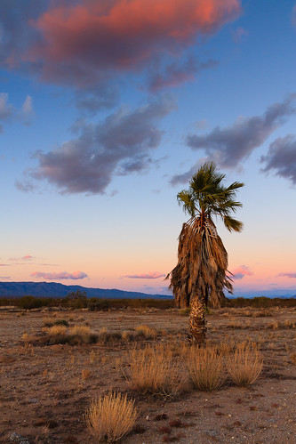 november sunset arizona sky mountains clouds landscape desert palmtree gladden sunsetandsunrise