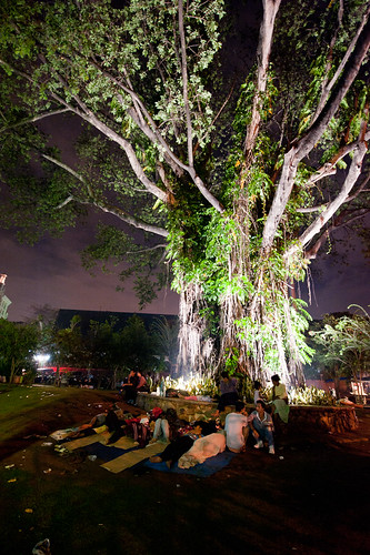 tree grass night indonesia illumination jakarta blokm