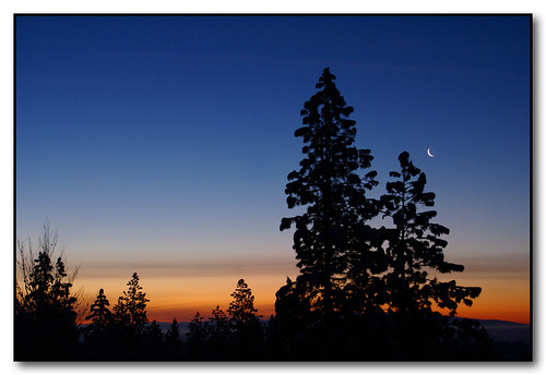 trees color clouds sunrise washington spokane silhouettes newyearsday waningmoon