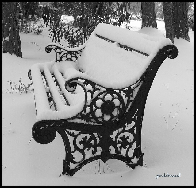 Snowy Bench