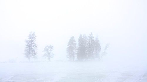 snow nature silhouette fog landscape outdoors landscapes afternoon outdoor weekend 169
