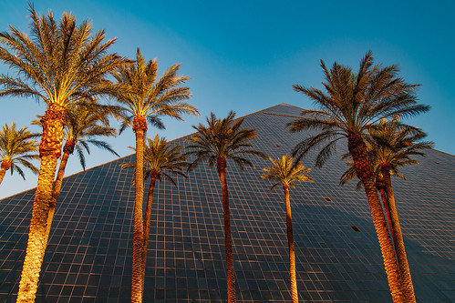 las vegas summer vacation holiday tree sunrise hotel pyramid olympus palm e300 luxor fourthirds esystem copyrightstevebark