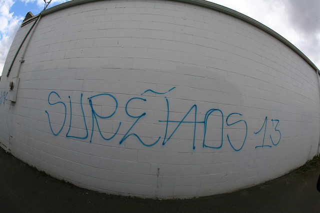 Surenos 13 | Surenos 13, (viewer submitted). Found in Spoka… | Flickr ... Nortenos Graffiti