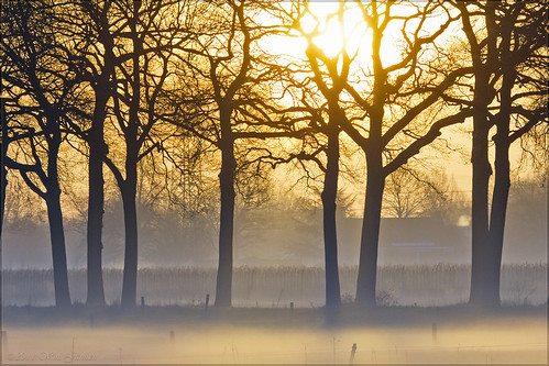 sunrise spring nederland thenetherlands helmond nld mierlohout provincienoordbrabant hetgoor