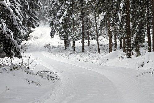 road winter snow forest woods sweden sverige östergötland canon50mmf14usm bjärkasäby canoneos7d