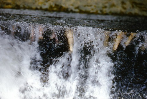 dam idaho snakeriver irrigation hydropower minidokaproject bureauofreclamationbor americanfallsdam