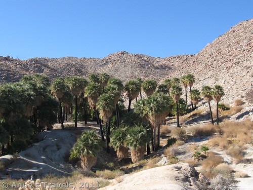 The Palm Bowl, Anza-Borrego Desert State Park, California