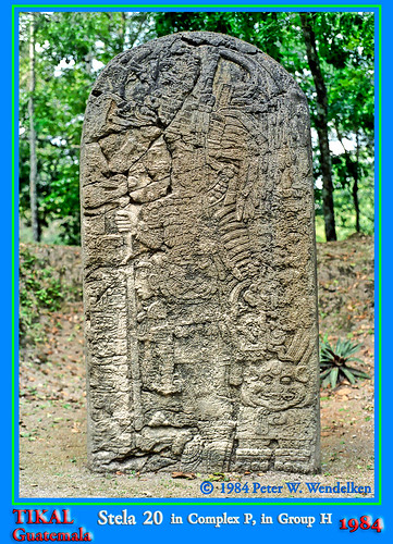 maya guatemala stela petén tikalmayanruins guatemalaphoto peterwendelken tikalphotobypeterwendelken tikalphoto mayanstonesculpture mayanstonehead tikalstela20 estela20detikal tikalcomplexpgrouph guatemalamayanruins stela20